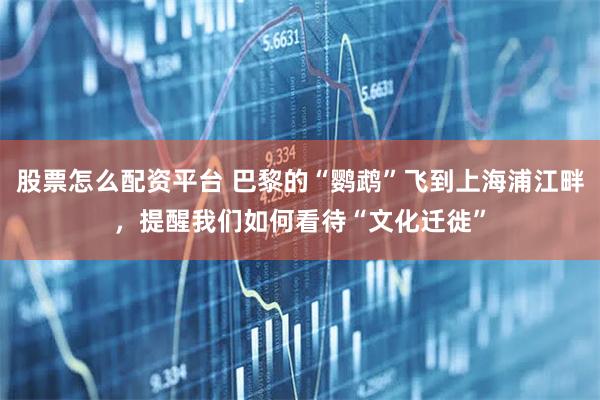 股票怎么配资平台 巴黎的“鹦鹉”飞到上海浦江畔，提醒我们如何看待“文化迁徙”