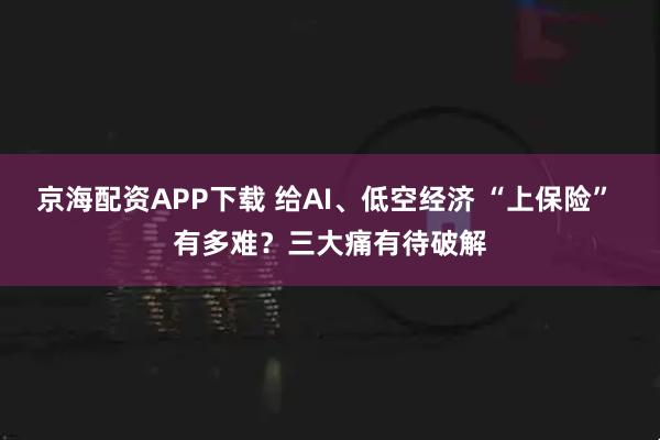 京海配资APP下载 给AI、低空经济 “上保险” 有多难？三大痛有待破解